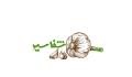 سیر شفا