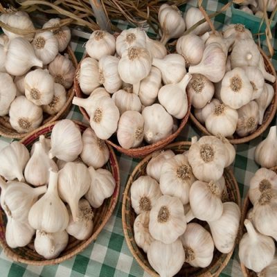 سیر ۵۰۰